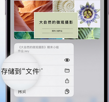 余姚apple维修中心分享iPhone文件应用中存储和找到下载文件