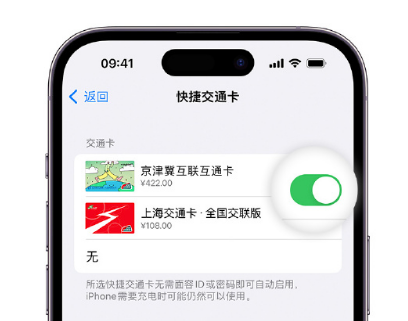 余姚apple维修点分享iPhone上更换Apple Pay快捷交通卡手绘卡面 