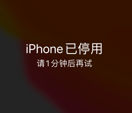 余姚苹果手机维修分享:iPhone 显示“不可用”或“已停用”怎么办？还能保留数据吗？ 