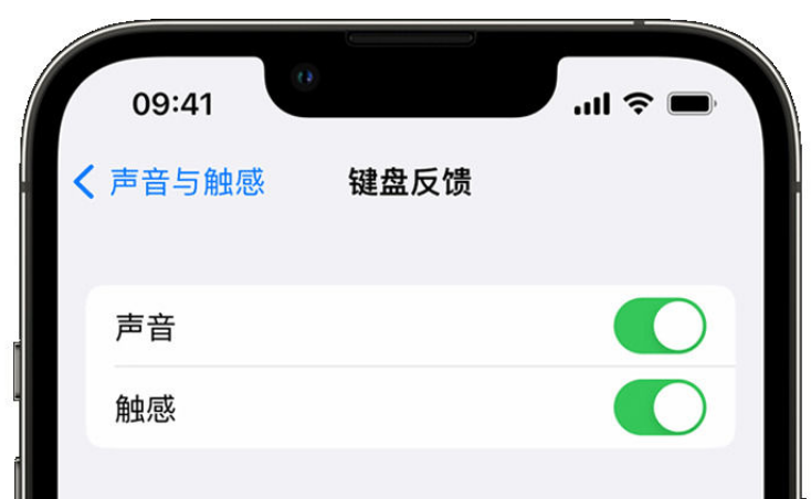 余姚苹果手机维修分享iPhone 14触感键盘使用方法 