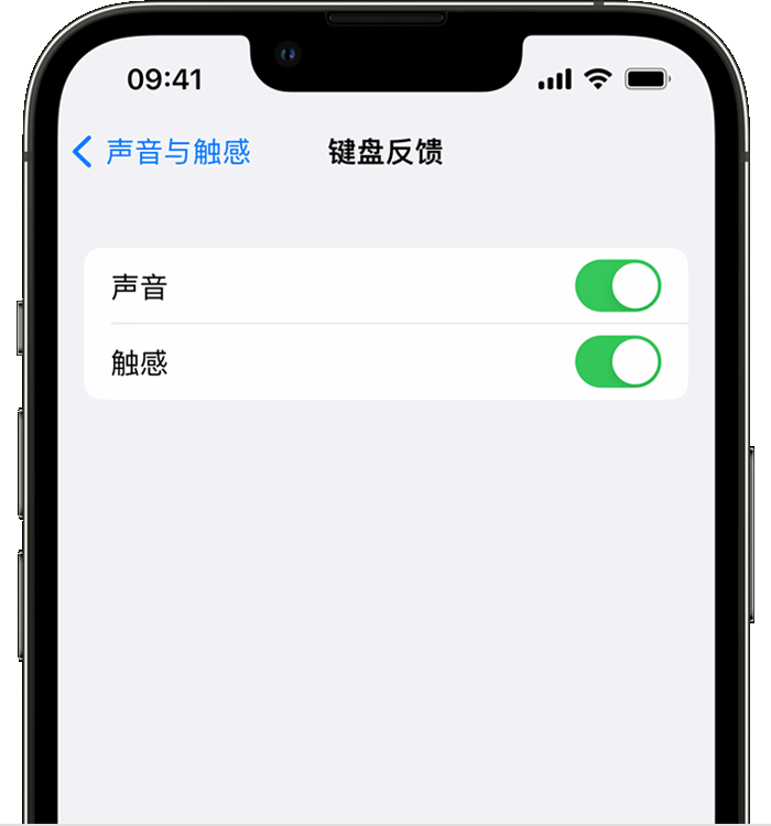 余姚苹果14维修店分享如何在 iPhone 14 机型中使用触感键盘 