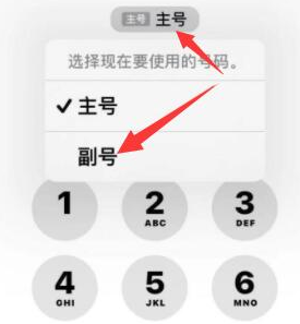 余姚苹果14维修店分享iPhone 14 Pro Max使用副卡打电话的方法 