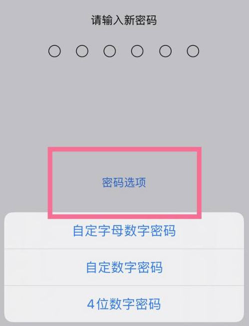 余姚苹果14维修分享iPhone 14plus设置密码的方法 