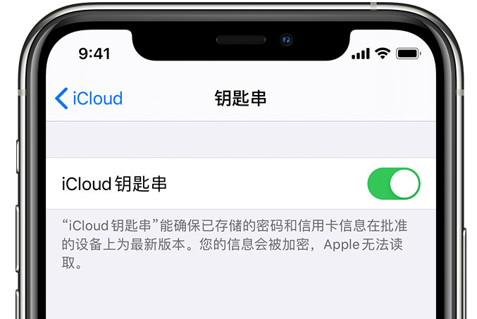 余姚苹果手机维修分享在 iPhone 上开启 iCloud 钥匙串之后会储存哪些信息 