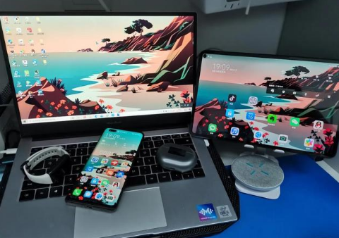 余姚苹果手机维修分享为什么iPad屏幕更大价格却比iPhone低 